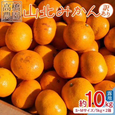 家庭用 山北みかん5kg露地(S～M)B品 小傷あり×2箱(合計10kg) 高橋農園 th-0011