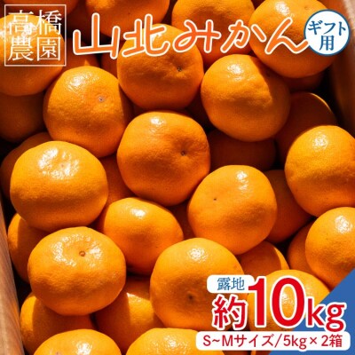 高橋農園 山北みかん5kg(露地・S～M) ×2箱 (合計10kg) th-0012