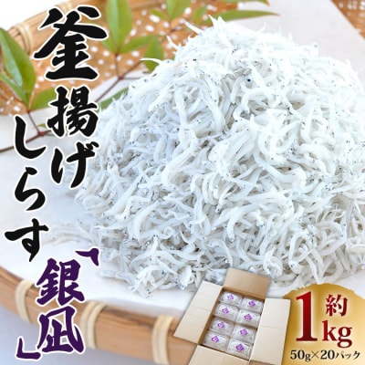 釜揚げしらす「銀凪」小分け20パック (合計約1kg・50g×20パック) ym-0010