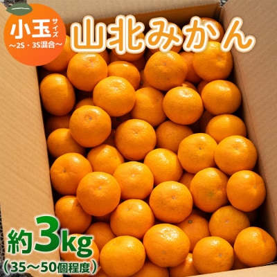 山北みかん 小玉サイズ(2S,3Sサイズ) 3kg 約35～50個入り 甘い yk-0048