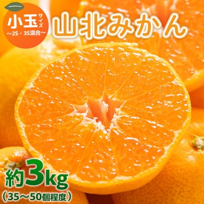 山北みかん 小玉 (2S,3Sサイズ) 3kg 約35～50個入り 甘い 糖度 人気 yk-0064