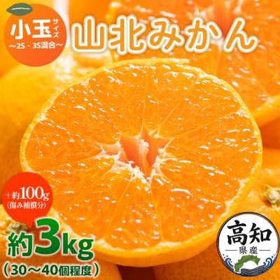 みかん小玉3kg 3キロ 温州みかん 山北 甘い 糖度 人気 yk-0077