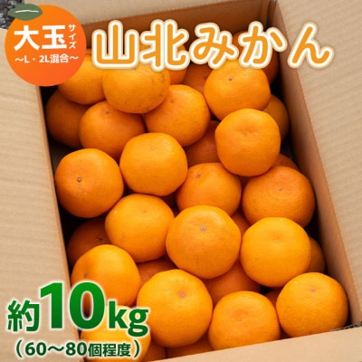山北みかん 大玉サイズ(L,2Lサイズ) 10kg 約60～80個入り 甘い yk-0049
