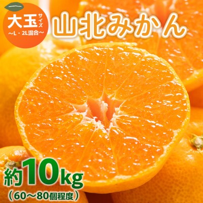 山北みかん 大玉サイズ(L,2Lサイズ) 10kg 約60～80個入り 甘い yk-0065