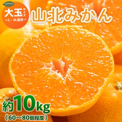 みかん大玉10kg 10キロ 温州みかん 山北 甘い yk-0065