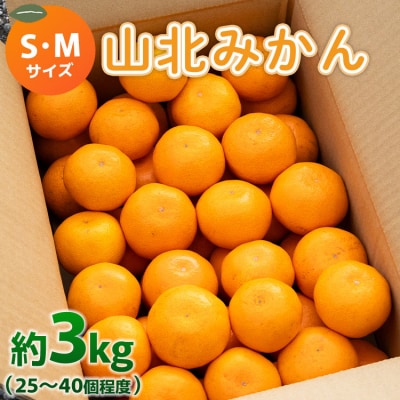 山北みかん (S,Mサイズ) 3kg 秀品 約25～40個入り 甘い yk-0066