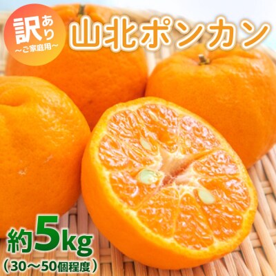 家庭用 山北ポンカン 5kg(約30～50個程度) yk-0051
