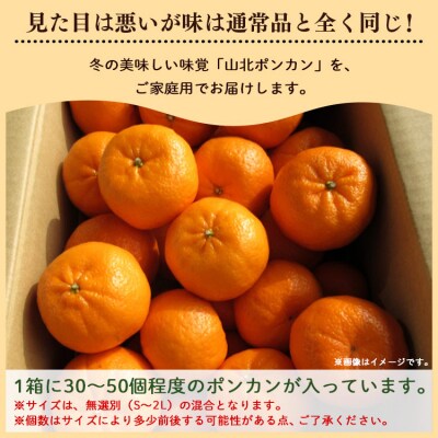 家庭用 山北ポンカン 5kg(約30～50個程度) yk-0067
