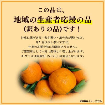 家庭用 山北ポンカン 5kg(約30～50個程度) yk-0067