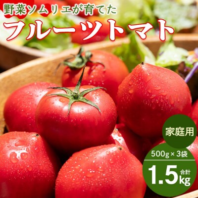 野菜ソムリエが育てた 家庭用 フルーツトマト 合計1.5kg(500g×3袋) mj-0014