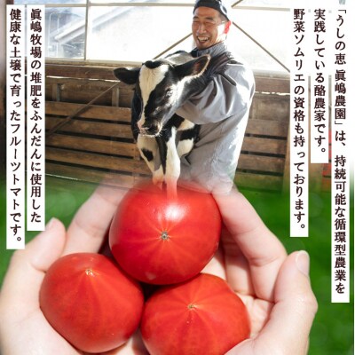 【先行受付】野菜ソムリエが育てた 家庭用 フルーツトマト 合計1.5kg mj-0021