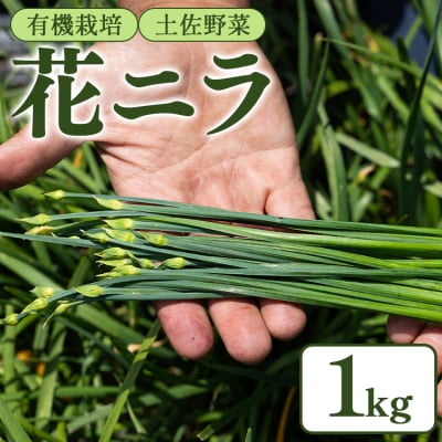 花ニラ 1kg bf-0002