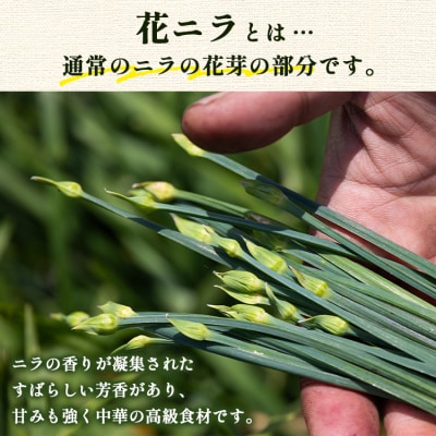 花ニラ 1kg bf-0002