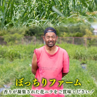 花ニラ 1kg bf-0002