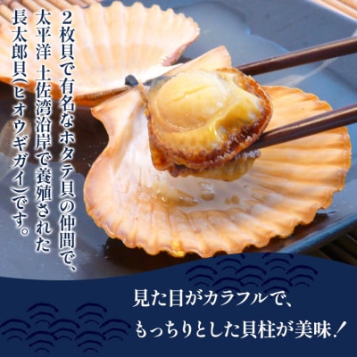 レンジでチン!する長太郎貝 10枚入 約800g ホタテの仲間 貝柱 kf-0001