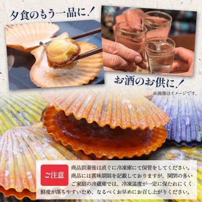 レンジでチン!する長太郎貝 10枚入 約800g ホタテの仲間 貝柱 kf-0001