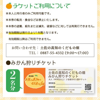 みかん狩り体験チケット 2名分(10月中旬～12月中旬頃) kd-0017