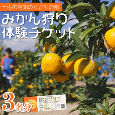 みかん狩り体験チケット 3名分(10月中旬～12月中旬頃) kd-0018