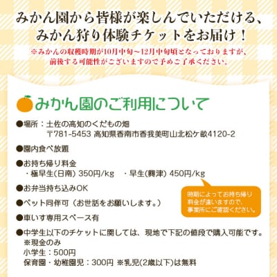 みかん狩り体験チケット 3名分(10月中旬～12月中旬頃) kd-0018