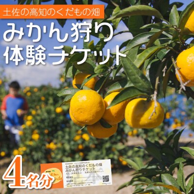 みかん狩り体験チケット 4名分(10月中旬～12月中旬頃) kd-0019