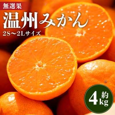 みかん 温州みかん 4kg 小玉大玉 柑橘 【無選果】 大小混合 山のてっぺん間城 ms-0072