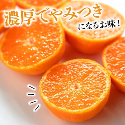 みかん 温州みかん 4kg 小玉大玉 柑橘 【無選果】 大小混合 山のてっぺん間城 ms-0072