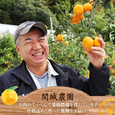 みかん 温州みかん 4kg 小玉大玉 柑橘 【無選果】 大小混合 山のてっぺん間城 ms-0072