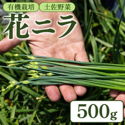花ニラ 500g bf-0001