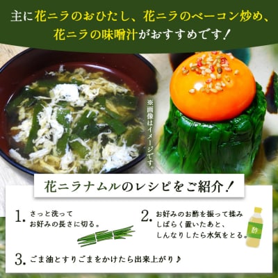 花ニラ 500g bf-0001