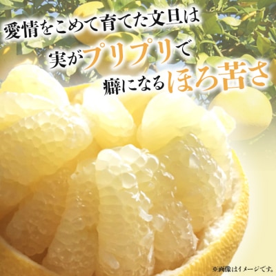 【先行受付】間城農園 ちょこっと食べたい方におすすめ「文旦とはるひのプチBOX」 ms-0036