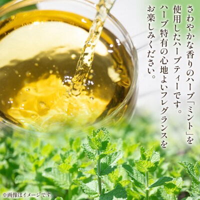 さわやかミントハーブティー 合計108袋 6回定期便 Wgr-0075