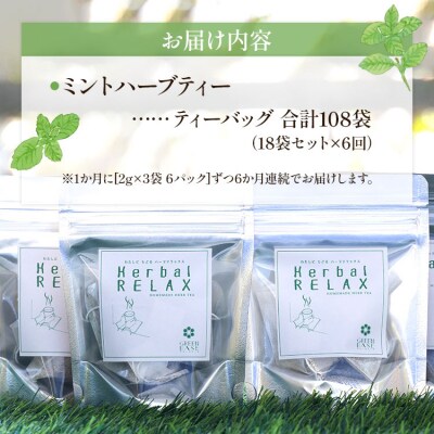 さわやかミントハーブティー 合計108袋 6回定期便 Wgr-0075