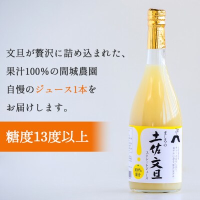 土佐文旦ジュース 1本(720ml)糖度13度以上 山のてっぺん間城農園 ms-0069