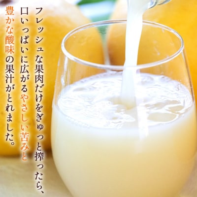 土佐文旦ジュース 720ml×1本&文旦 約1.5kg(3玉) 糖度13度以上 ms-0070