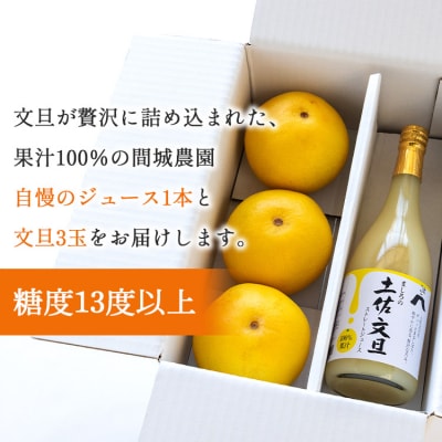 土佐文旦ジュース 720ml×1本&文旦 約1.5kg(3玉) 糖度13度以上 ms-0070