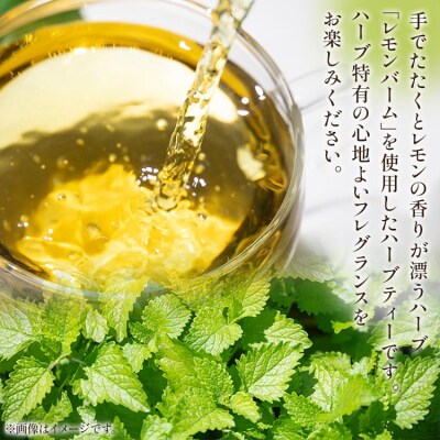 12か月定期便 さわやかレモンバームハーブティー 合計216袋 - ハーブ お茶  Wgr-0100