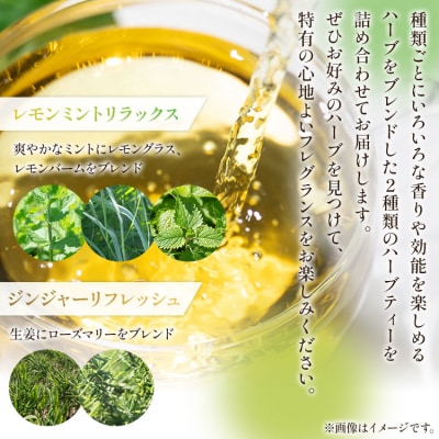 3か月定期便 ブレンドハーブティー2種の詰め合わせセット 合計54袋 Wgr-0116