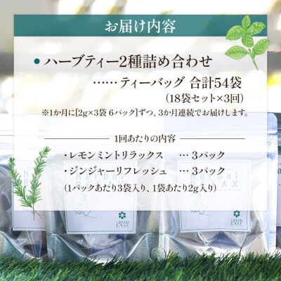 3か月定期便 ブレンドハーブティー2種の詰め合わせセット 合計54袋 Wgr-0116