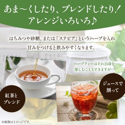 6か月定期便 ブレンドハーブティー2種の詰め合わせセット 合計108袋 Wgr-0117