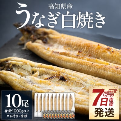 【7日程度で発送】蒲焼きタレ付き うなぎ 白焼き 1kg以上 10尾 国産 鰻 yw-0082