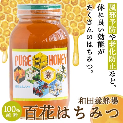 はちみつ 国産 蜂蜜 甘い 和田養蜂場 百花はちみつ(1.2kg)1本 wh-0005