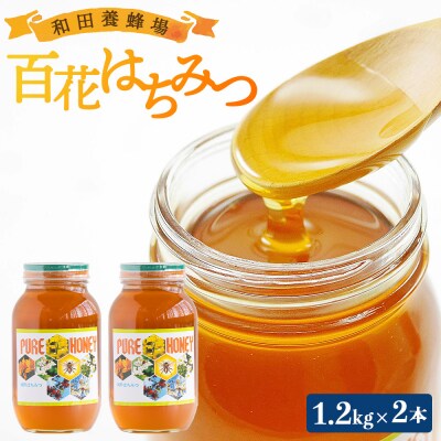 はちみつ 国産 蜂蜜 甘い 和田養蜂場 百花はちみつ(1.2kg)2本 wh-0006