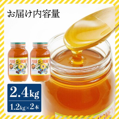 はちみつ 国産 蜂蜜 甘い 和田養蜂場 百花はちみつ(1.2kg)2本 wh-0006