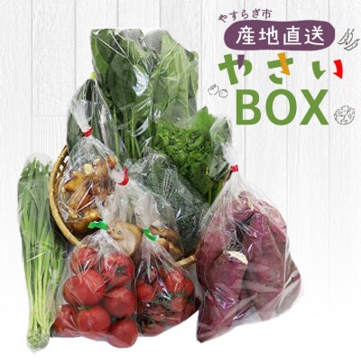 野菜セット 野菜 野菜詰め合わせ 10種類前後 yr-0011