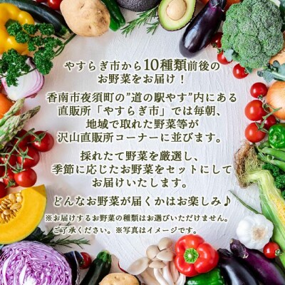 野菜セット 野菜 野菜詰め合わせ 10種類前後 yr-0011