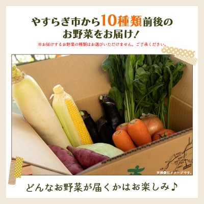 野菜セット 野菜 野菜詰め合わせ 10種類前後 yr-0011