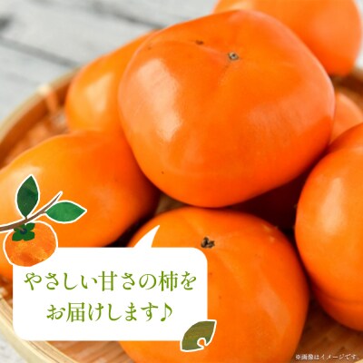 柿(カキ) 3kg 柳本果樹園の柿 yg-0014