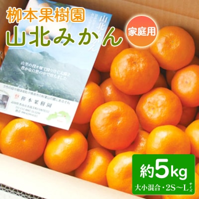 家庭用 栁本果樹園の山北みかん 5kg 大小混合(2S～L) yg-0013