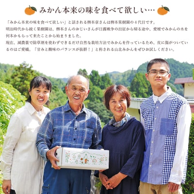 家庭用 栁本果樹園の山北みかん 5kg 大小混合(2S～L) yg-0013