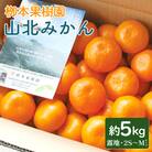 【先行受付】栁本果樹園の山北みかん 5kg(露地・2S～M) yg-0011